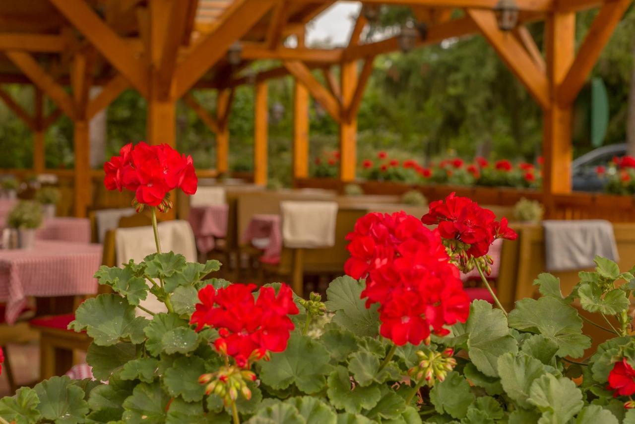 Lipicai Hotel Es Etterem Szilvasvarad Luaran gambar